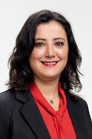 Gökay Akbulut