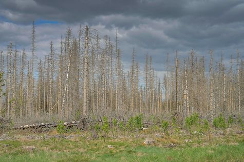 Deutscher Bundestag - Fraktionen streiten über Wirksamkeit der deutschen Klimaschutzmaßnahme...