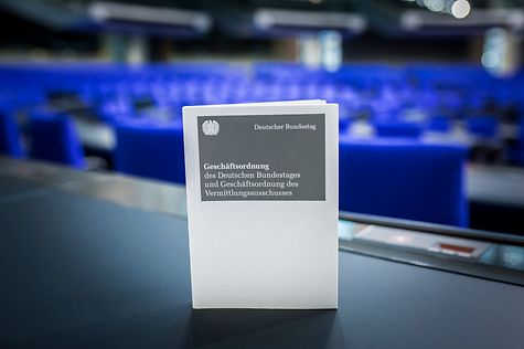 Bundestag rejects AfD lawmaker’s appeal over insult to colleague