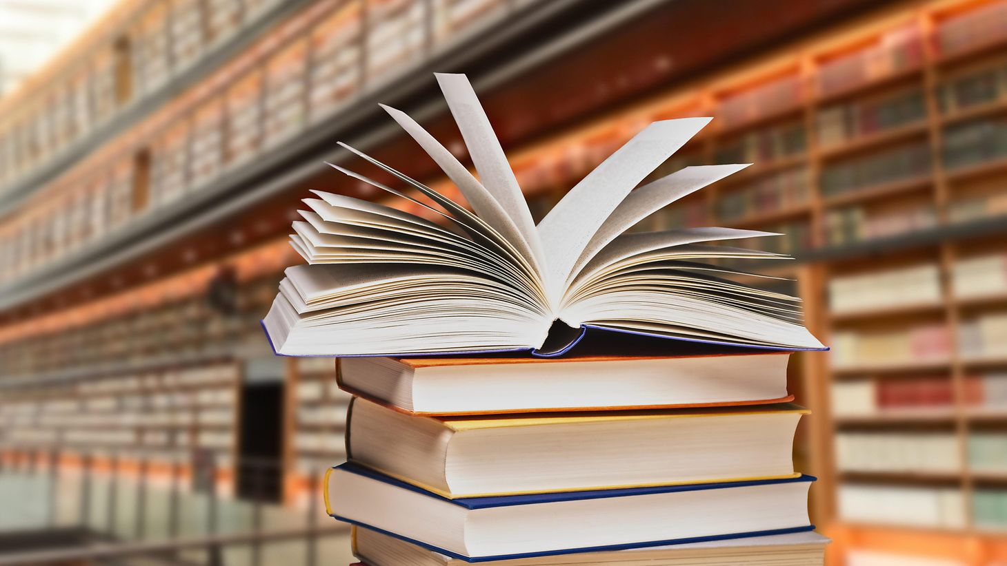 Deutscher Bundestag Ausschuss für Kultur und Medien