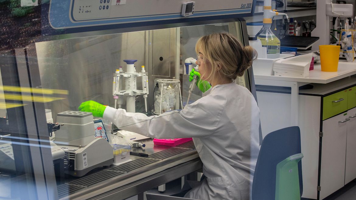 Deutscher Bundestag - Abgesetzt: Große Anfrage zum ...